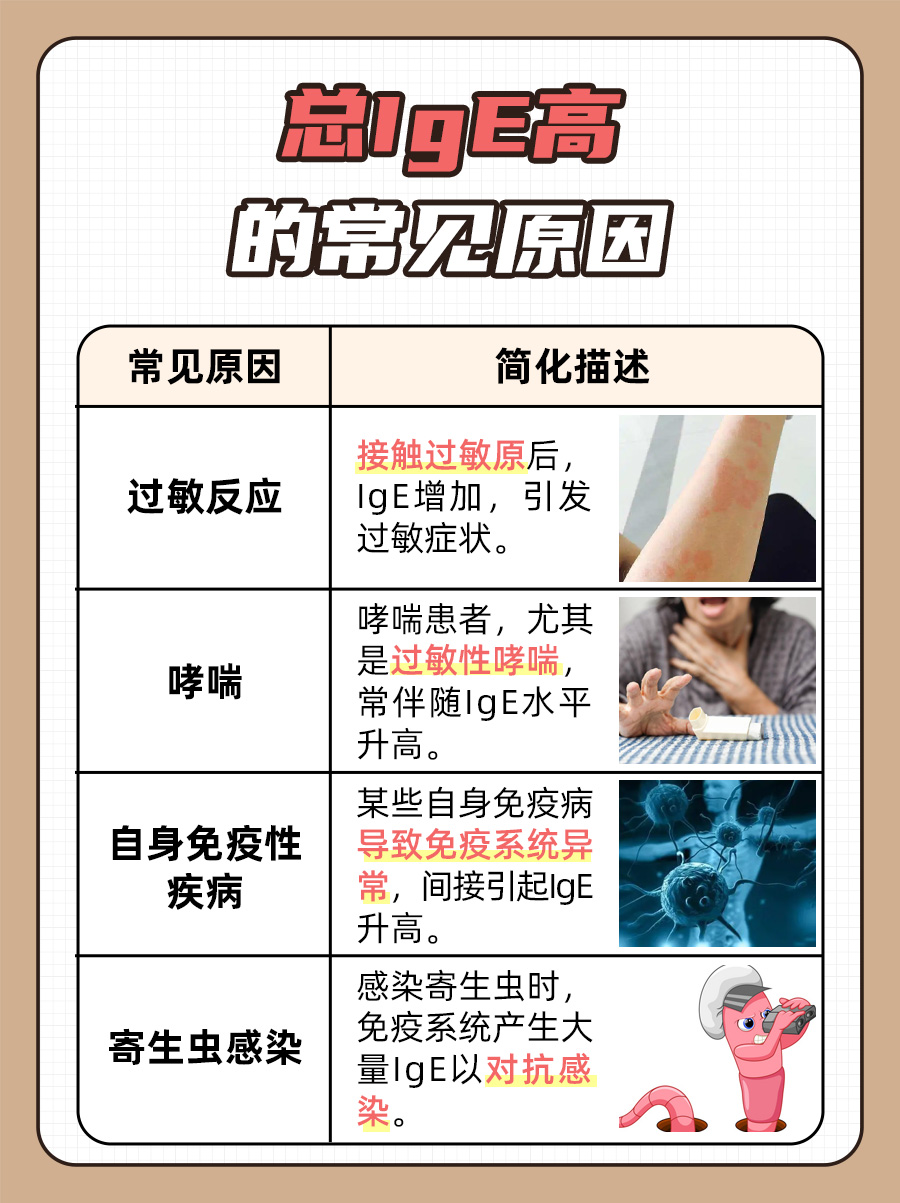 总IgE高什么意思 ,医生告诉你