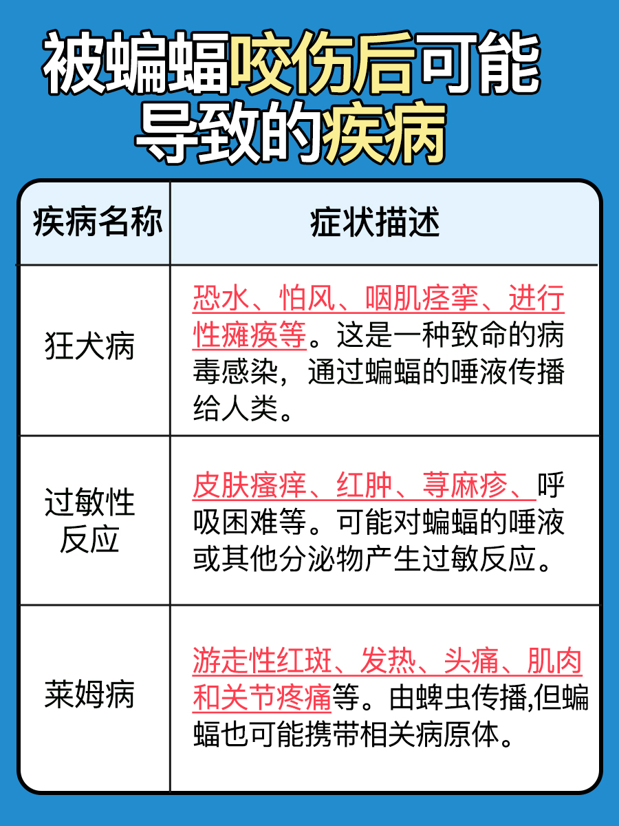 蝙蝠咬伤的伤口特征：你能准确辨认吗？