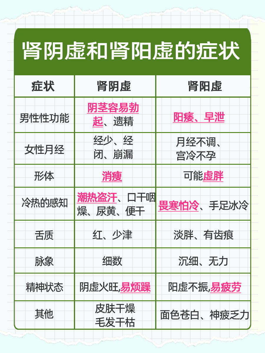 生命的原动力是什么？肝脏/脑/心/肾精？