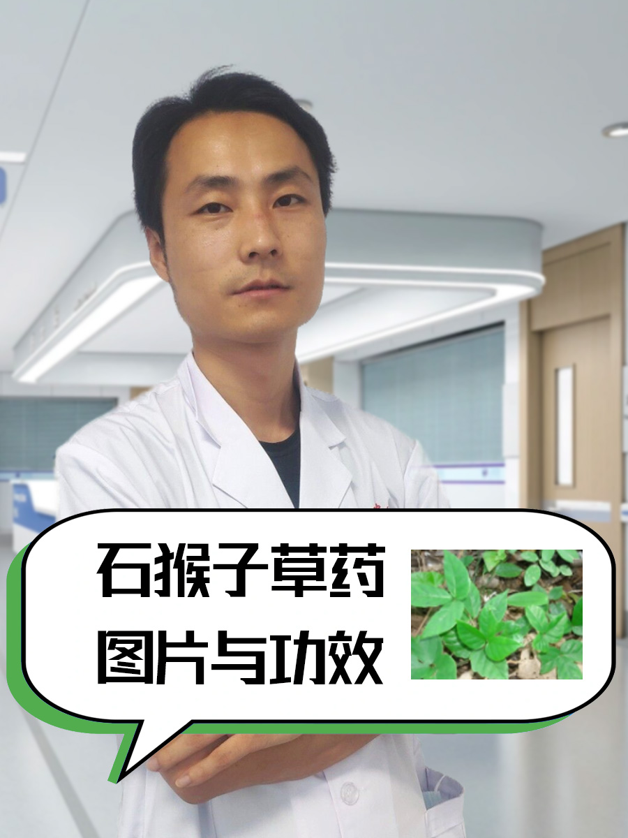 石猴子草药图片与功效