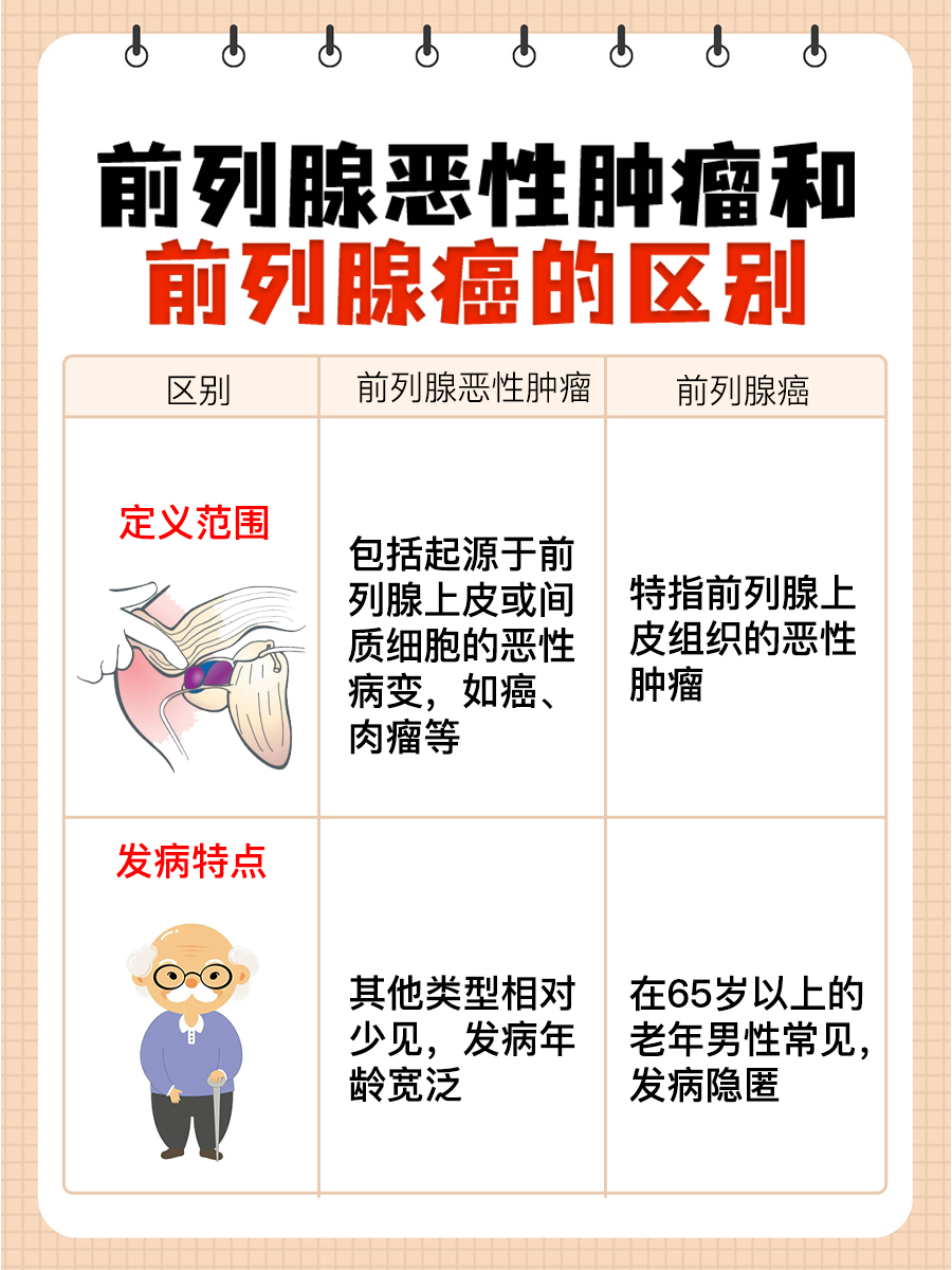 前列腺恶性肿瘤和前列腺癌的区别，一文解析