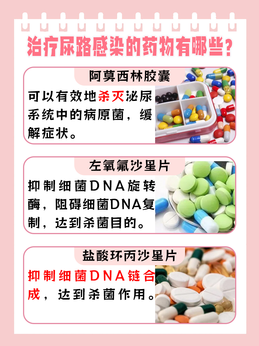 带你了解:尿培养没有细菌,就不是尿路感染吗