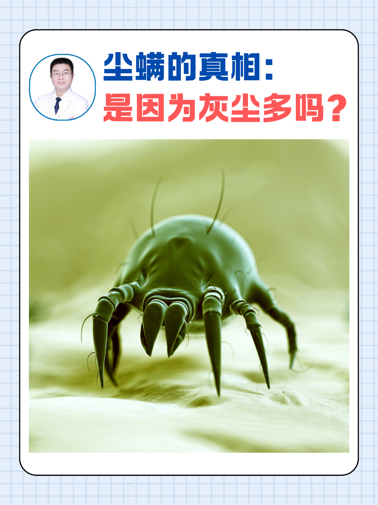 尘螨的真相：是因为灰尘多吗？