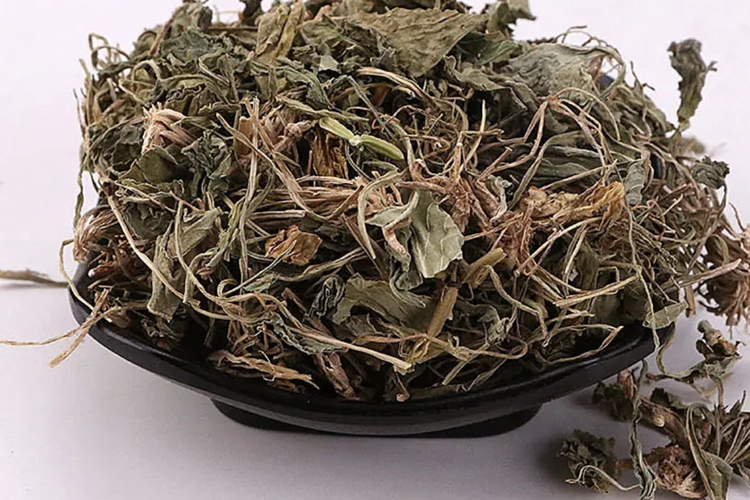 紫花地丁药材图