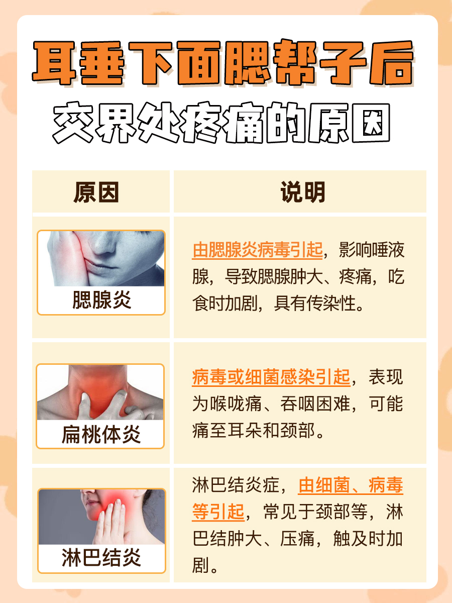 揭秘:耳垂下面腮帮子后交界处疼痛的原因