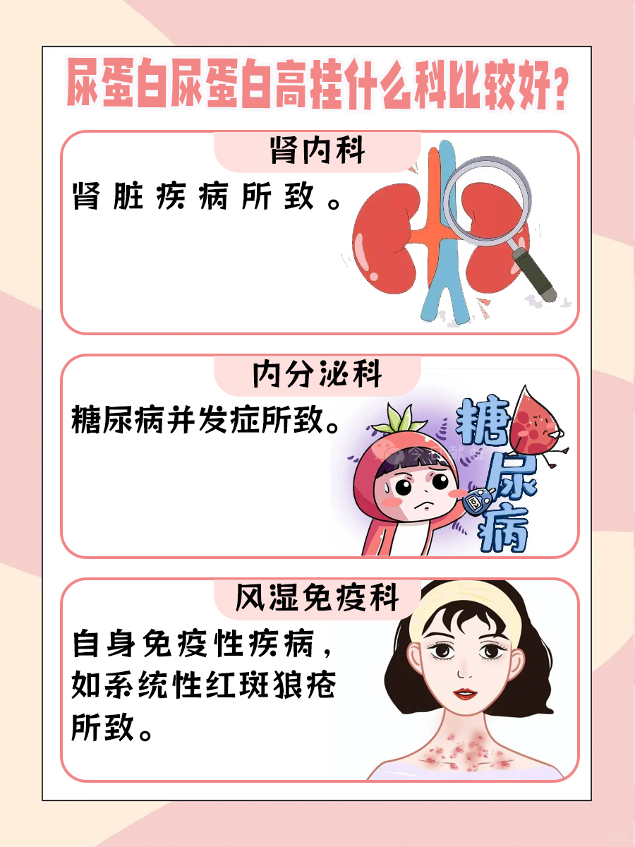 尿蛋白偏高?别担心,带你解锁正确就医科室