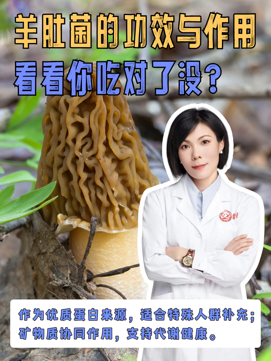 羊肚菌的功效与作用，看看你吃对了没？