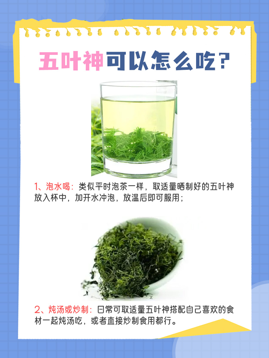 科普｜五叶神的功用和食用方法