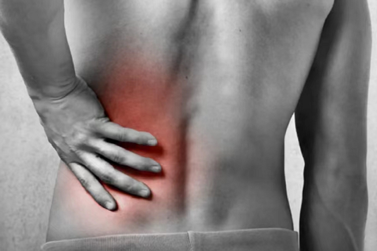 髂腰肌在人体位置图