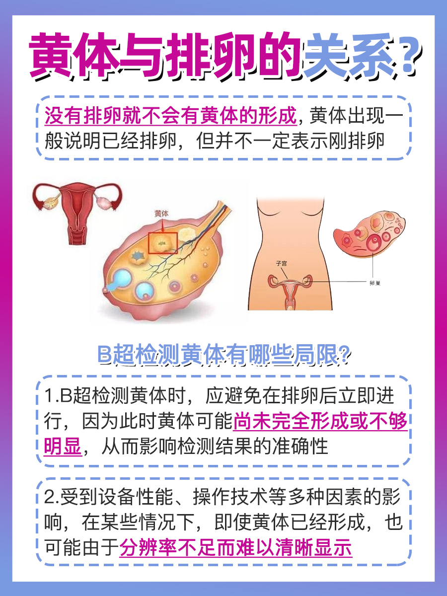 医生揭秘：B超看到黄体是否说明刚排卵？