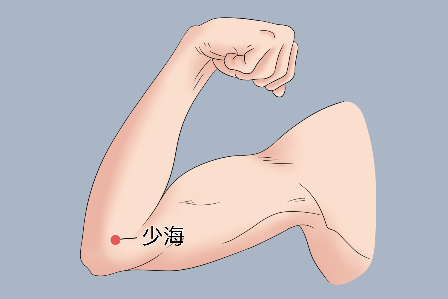 少海穴位置图