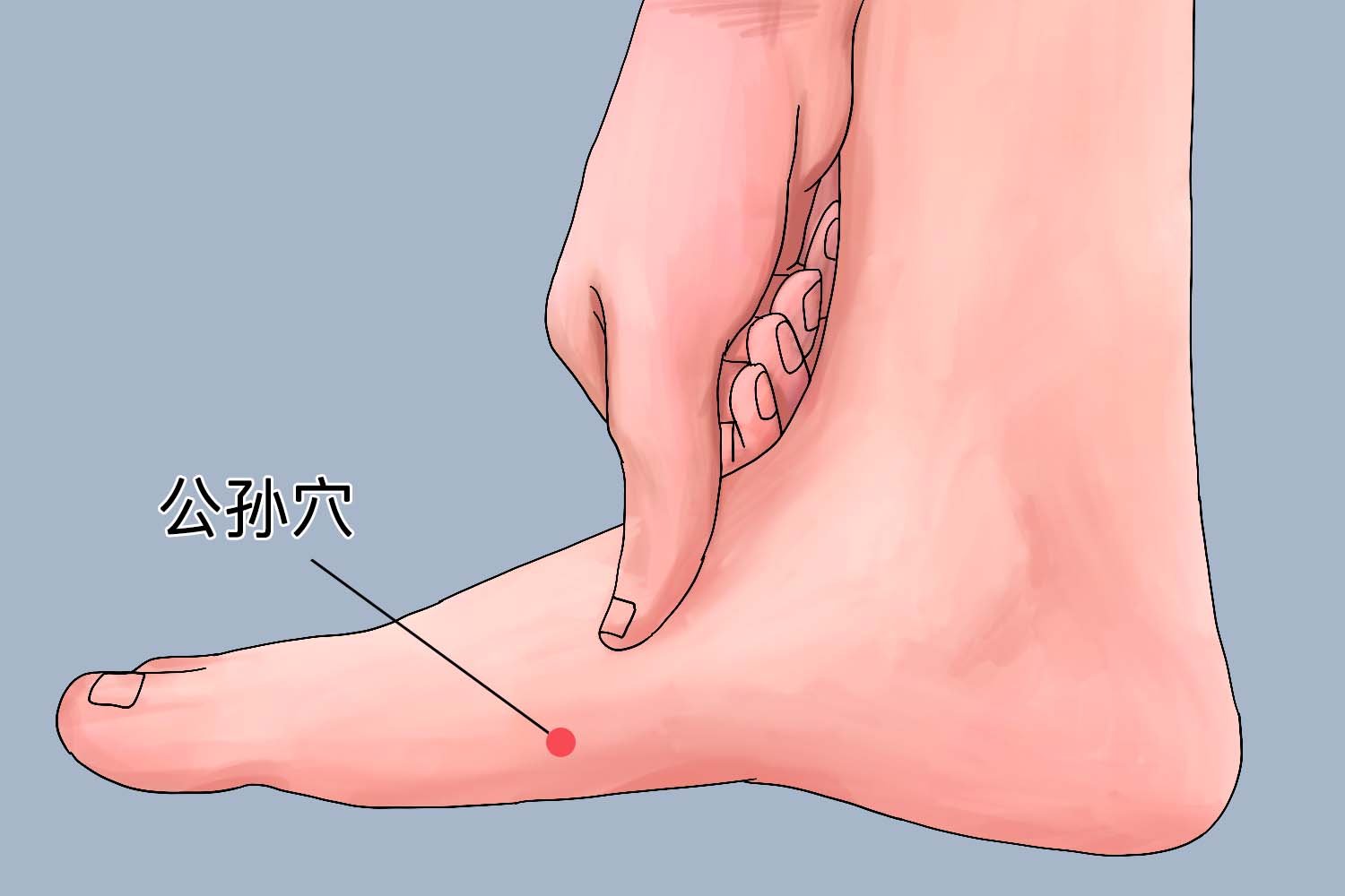 公孙位置图 公孙位置图