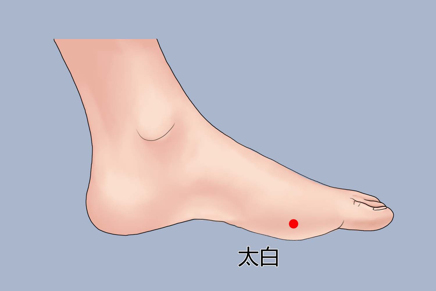 太白穴位置图