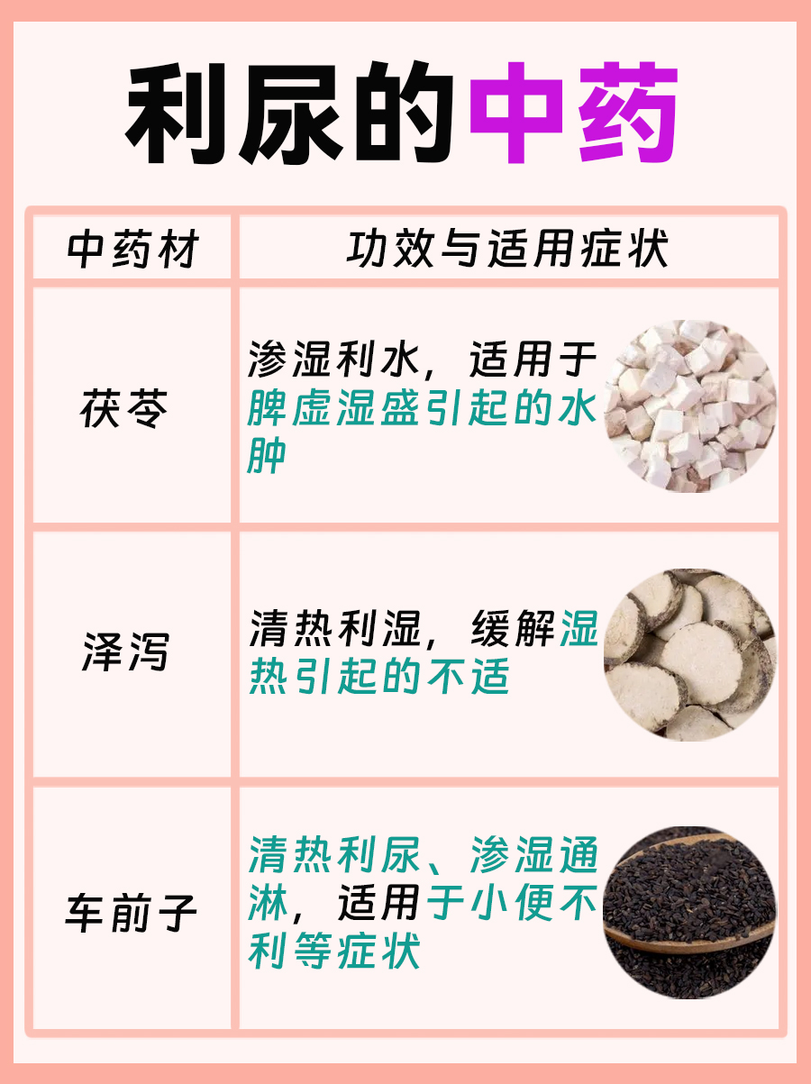 利尿的中医药物，缓解水肿烦恼