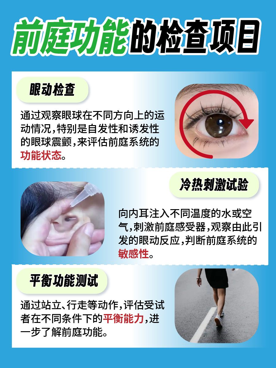 身体的平衡大师:前庭功能全解析