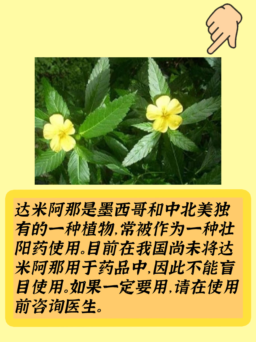 你的“男友力”，不能依靠达米阿那