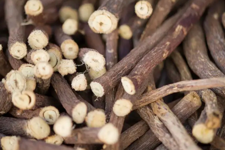 野生甘草药材图 野生甘草药材图