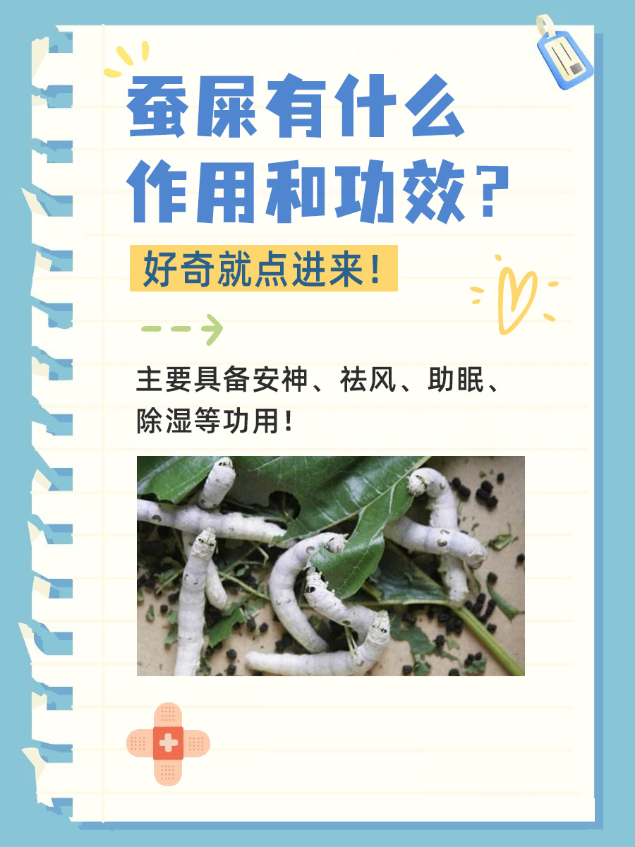 蚕屎有什么作用和功效？好奇就点进来！
