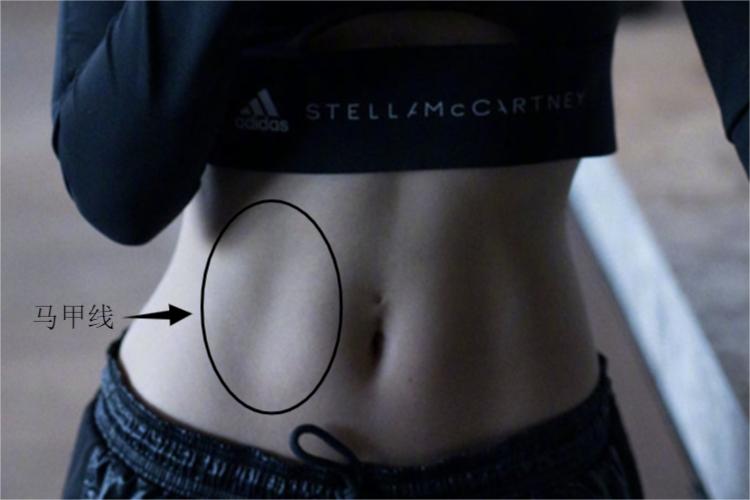 马甲线图 马甲线图