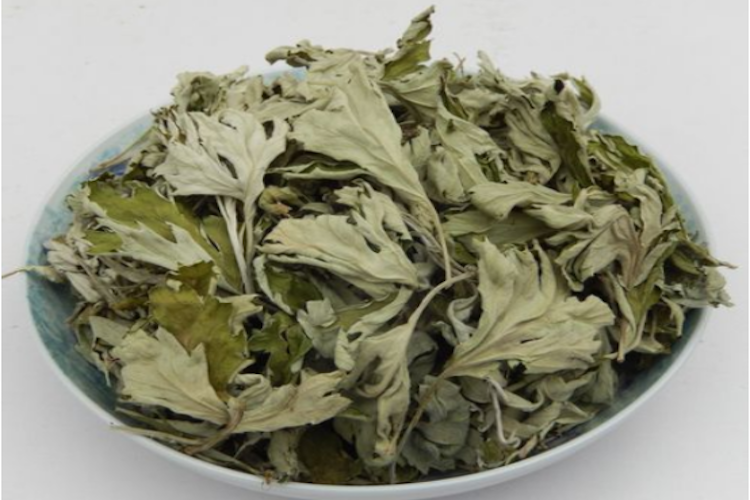 红脚艾草药材图