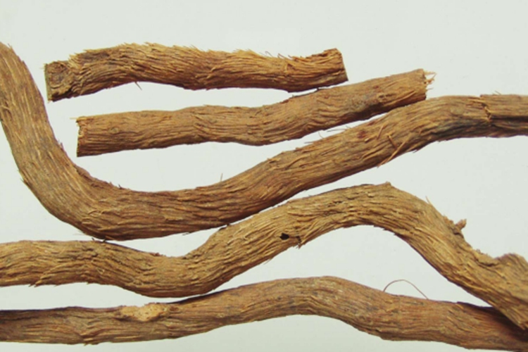 千年健草药图 千年健草药图