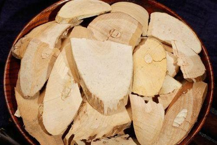 接骨丹树药材图