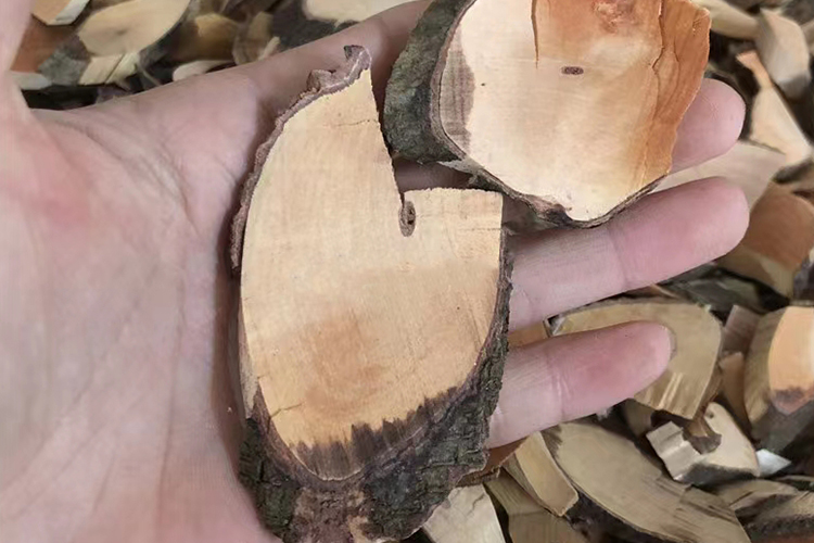 山大刀根中药图 山大刀根中药图