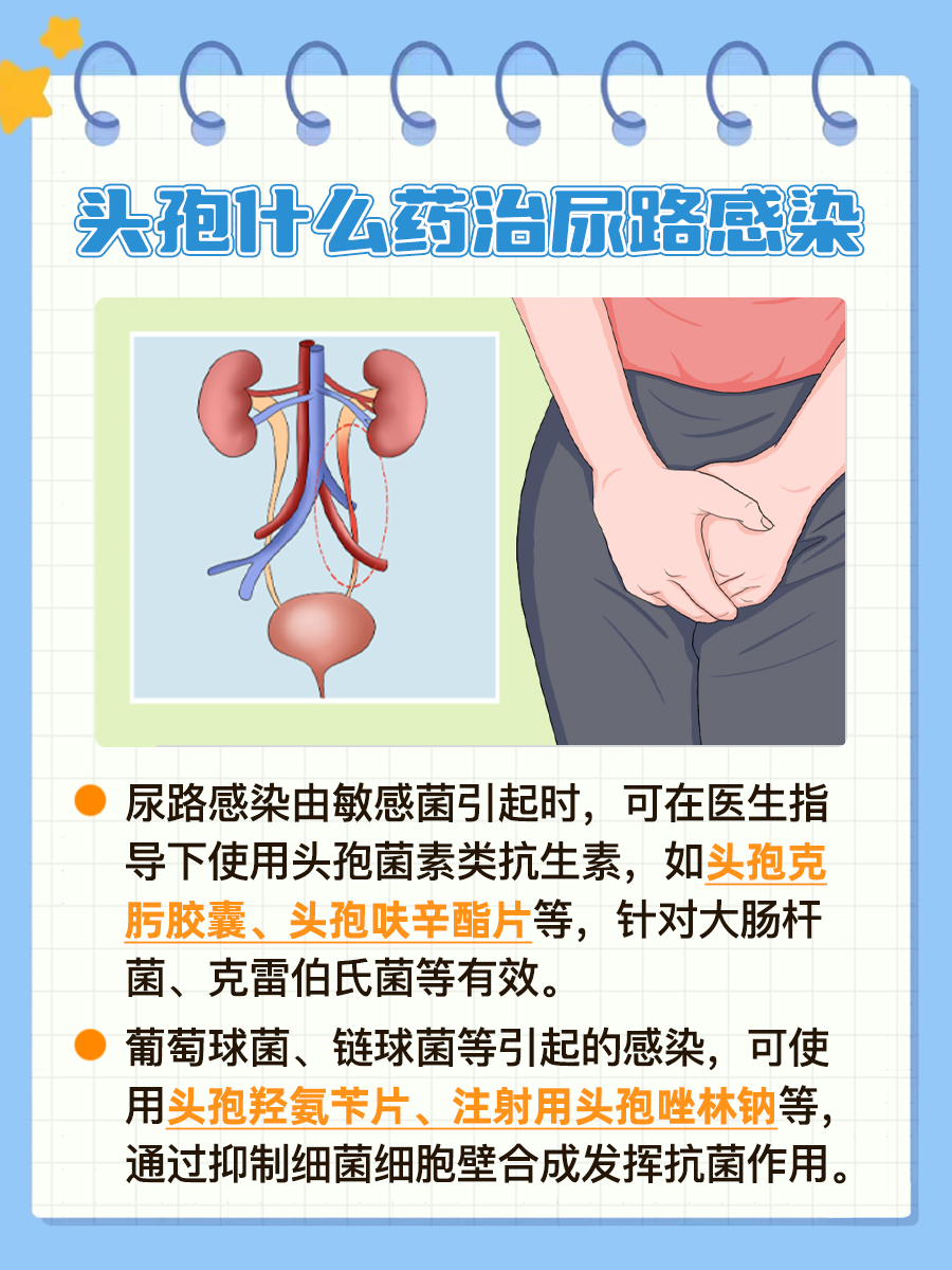 探究:头孢什么药治尿路感染