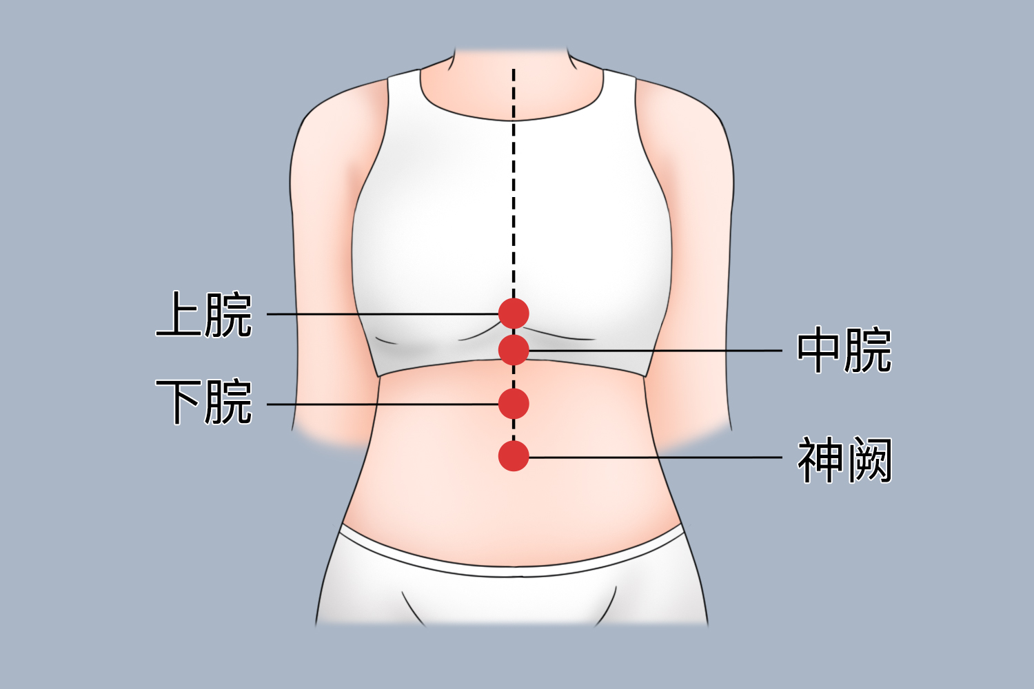 胃痛位置图图片