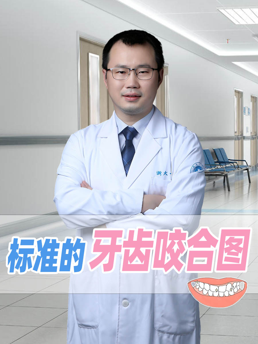 标准的牙齿咬合图