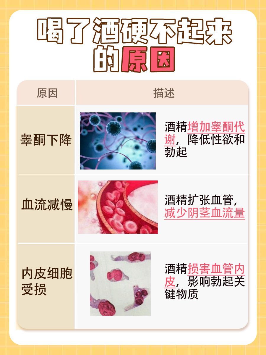 喝了酒硬不起来：原因解析