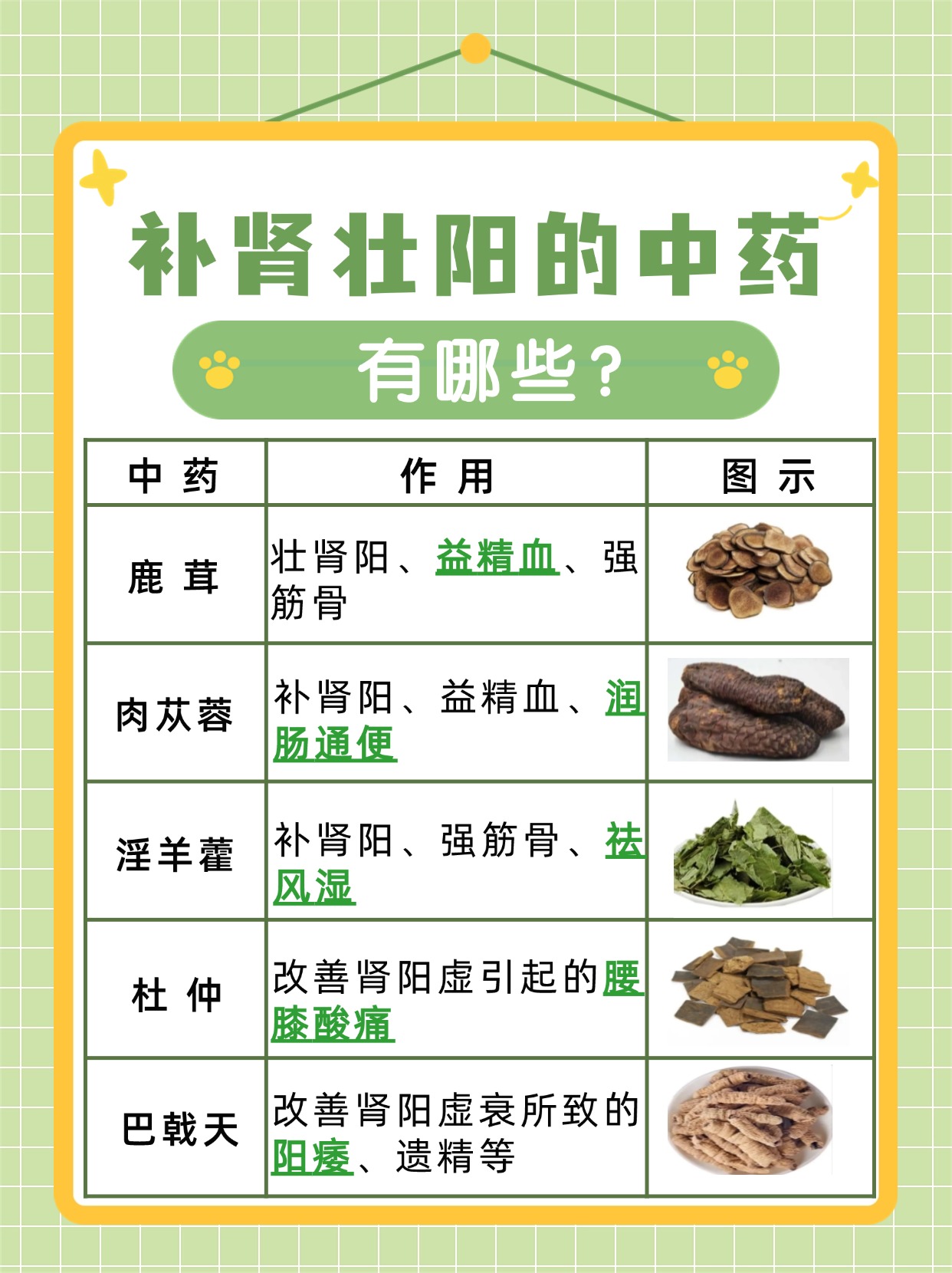 医生详解：哪些中药可以补肾壮阳？