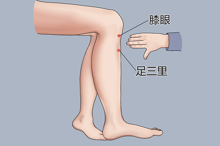 足三里穴位置图