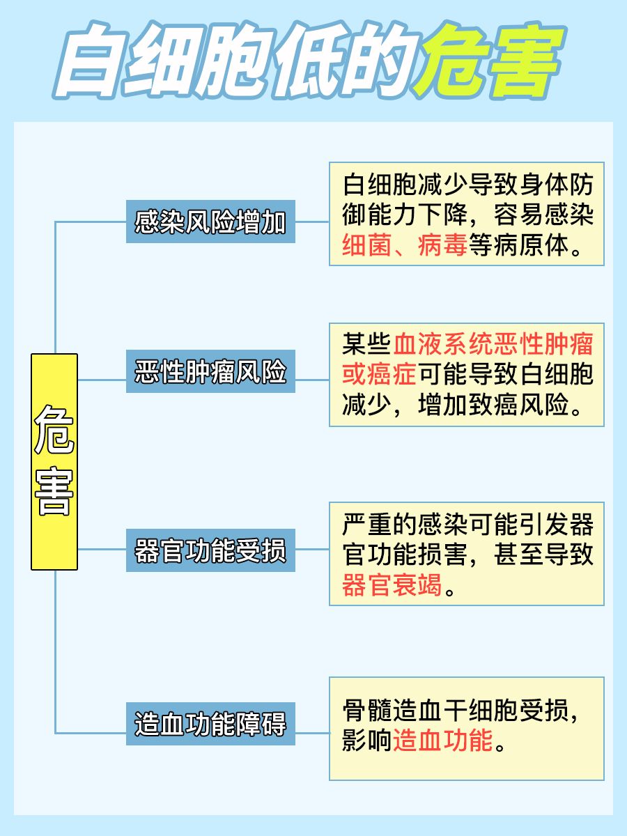 白细胞偏低：带你了解潜在危害与不可忽视的症状