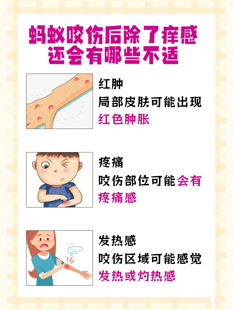 蚂蚁咬伤后的痒感：持续时间与应对策略