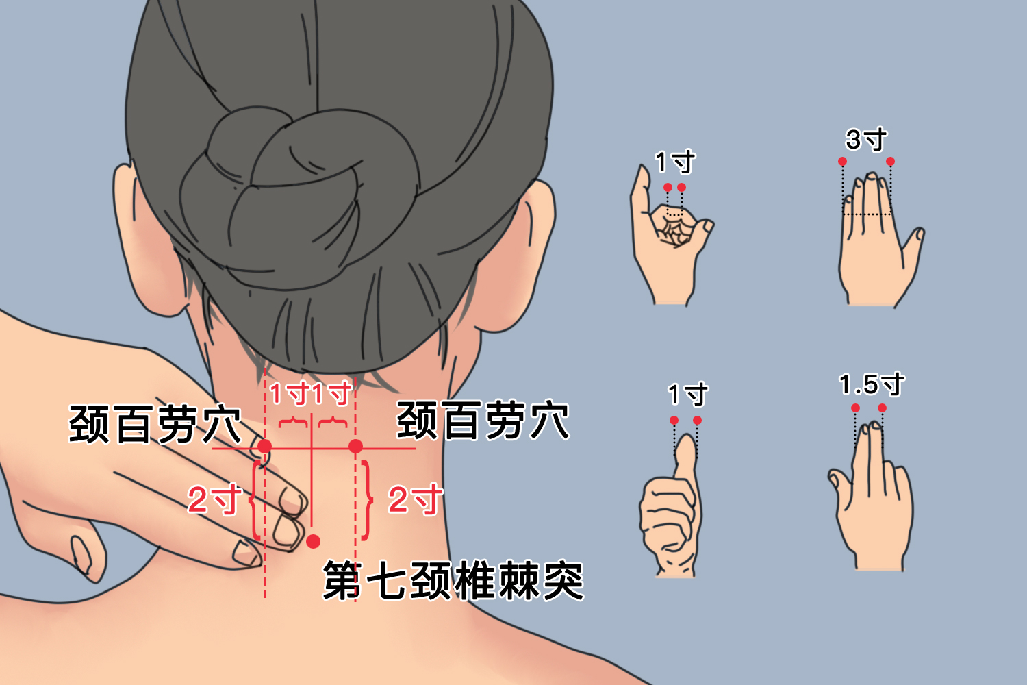 颈百劳的准确位置图图片