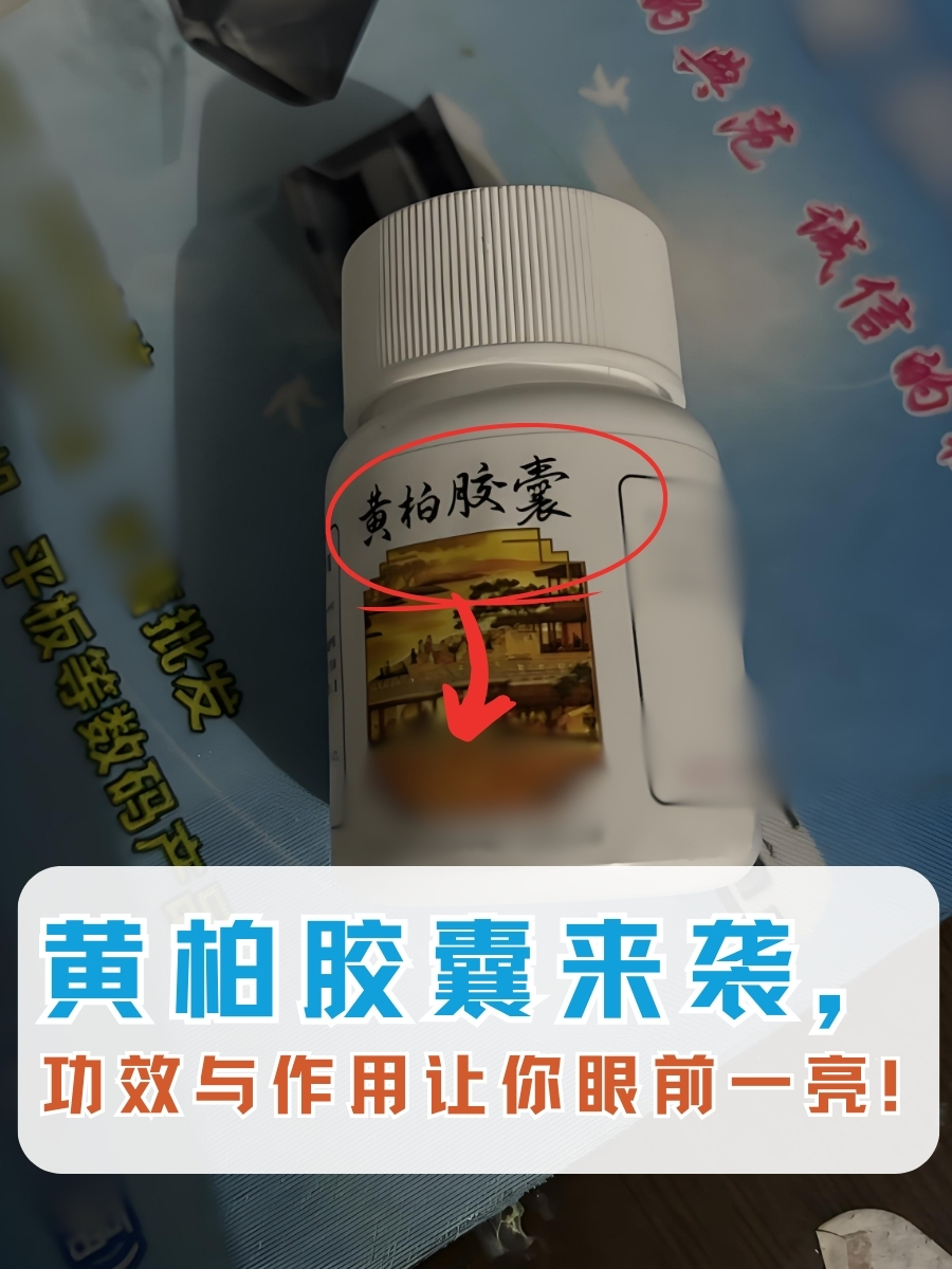 黄柏胶囊来袭,功效与作用让你眼前一亮!