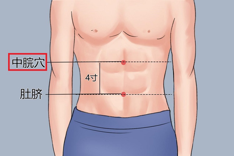 中脘穴位置图