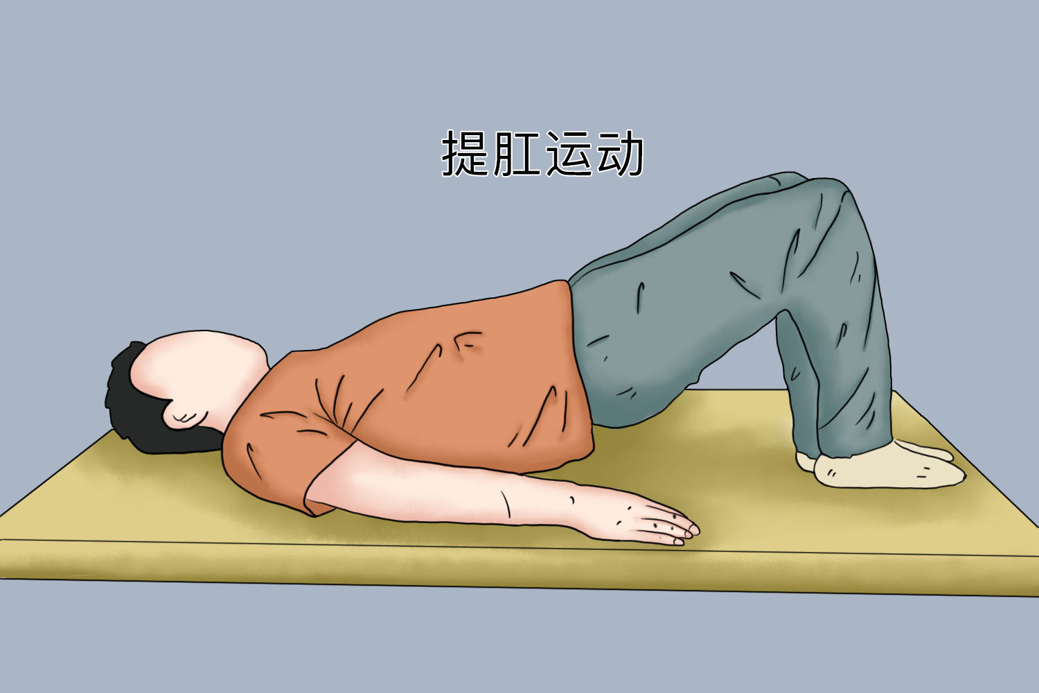 提肛运动仰卧位图