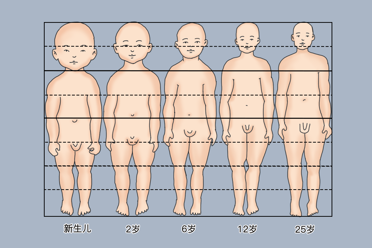 儿童正常体型图