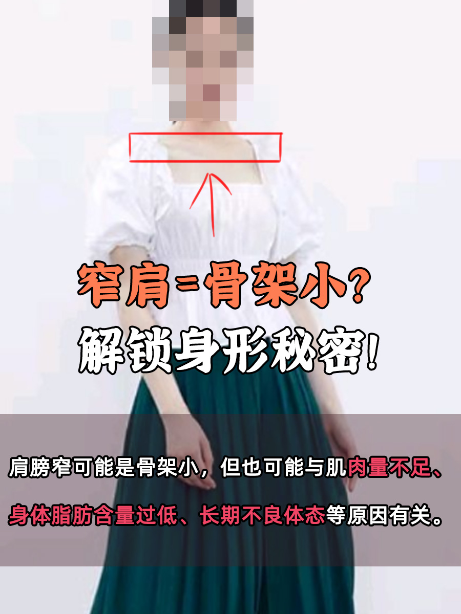 窄肩=骨架小？解锁身形秘密！