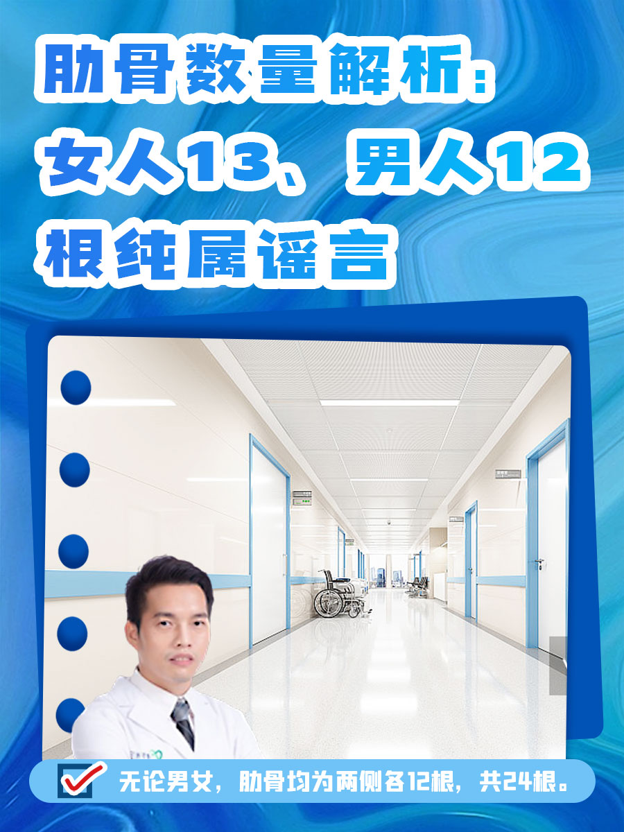 肋骨数量解析：女人13、男人12根纯属谣言