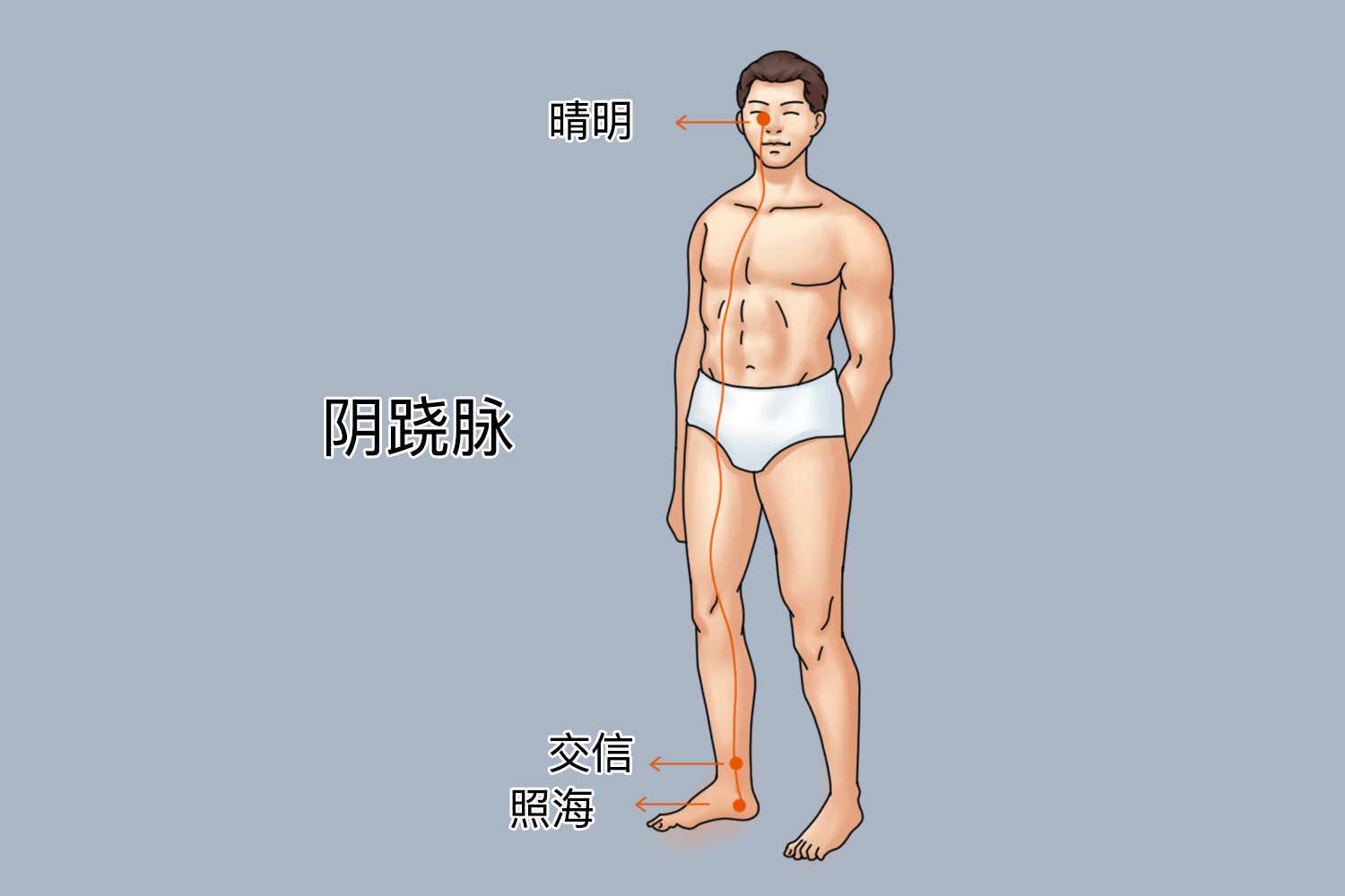 阴跷脉循行路线图