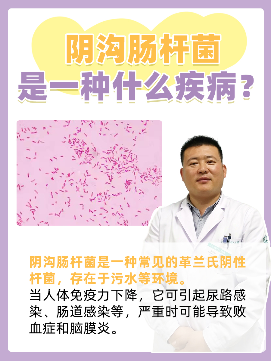 阴沟肠杆菌是一种什么疾病?