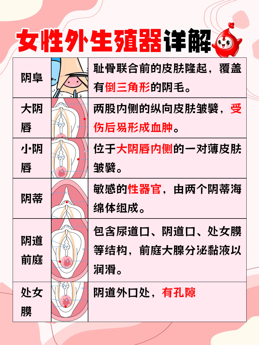 医生课堂：处女膜位置详解