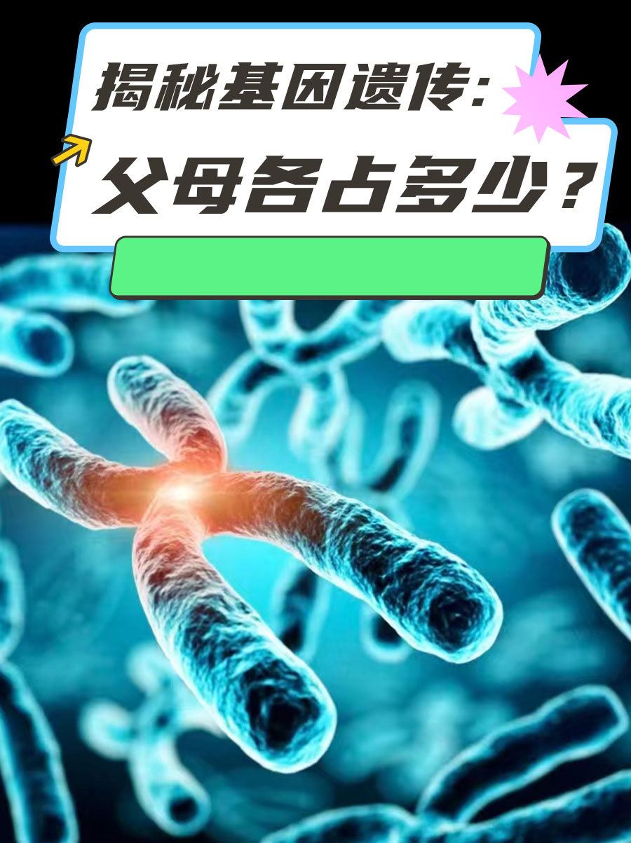 揭秘基因遗传:父母各占多少?