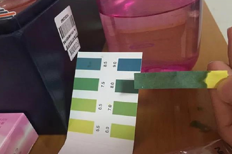 羊水试纸测试结果对比色图