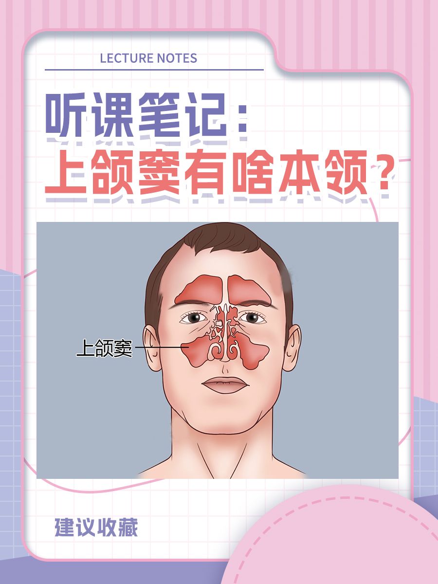 听课笔记：上颌窦有啥本领？