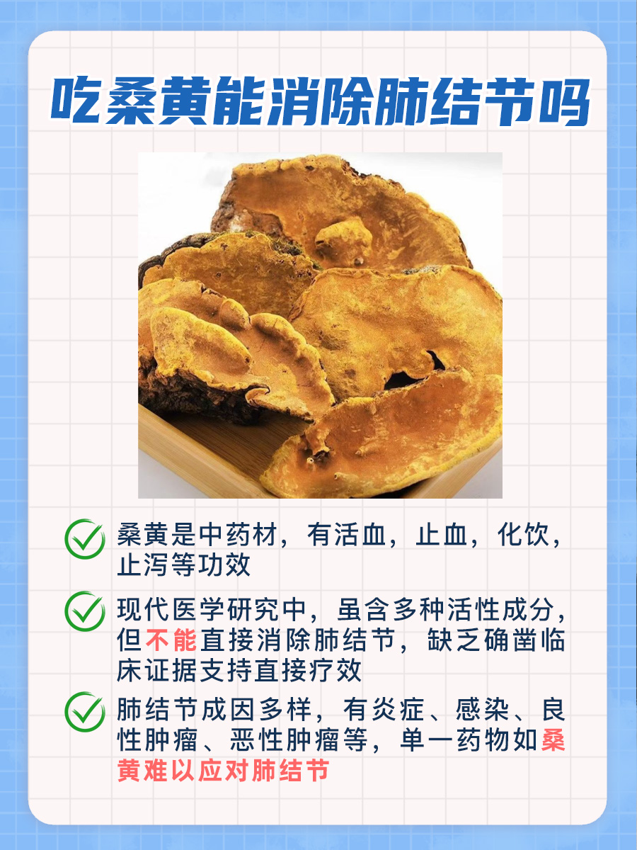 吃桑黄能消除肺结节吗？一文解答