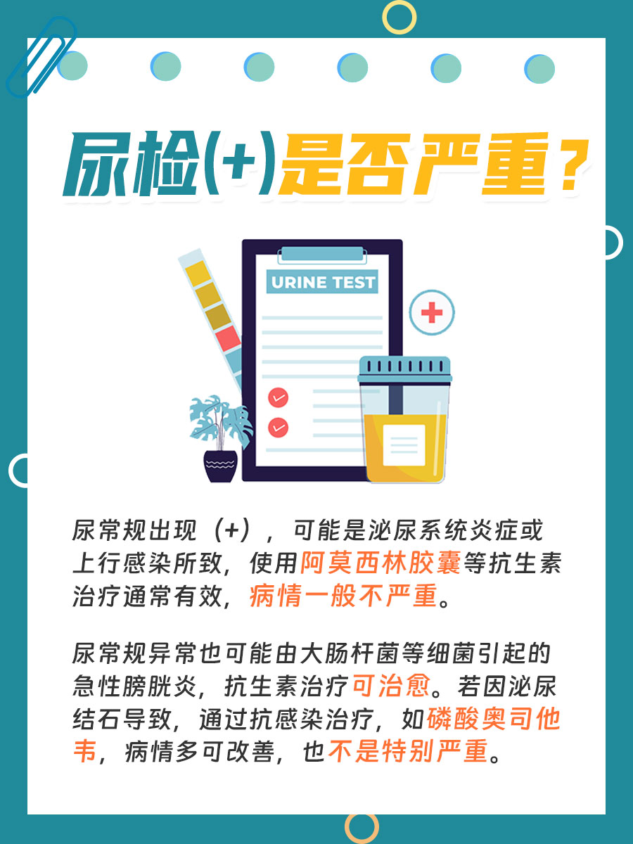 尿检单加号显现，意味着什么程度的风险？